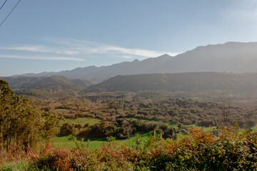 Obraz premium boda, mano, camisa, novia, agiotaje, mujer, gente, amor, persona, hombre, falda, anillas, moda, ceremonia, dedo, detallar, participación, vestido, fiesta, tradicion, falda, mantilla, detalle, pendient