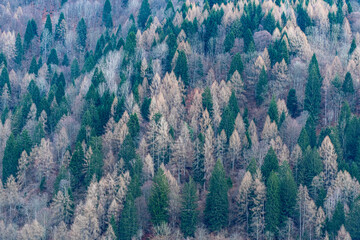 Parco Naturale Dolomiti Friulane