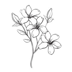Flowers in Continuous Line Art Drawing 2d flat vector.
