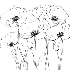 Flower linen on white background 2d Flat cector
