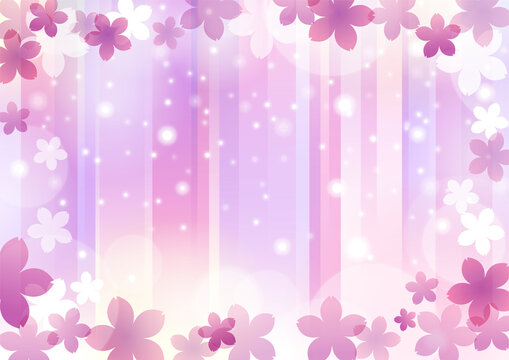 桜　春　パープル　背景　イメージ