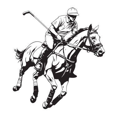 Polo player riding the horse hand drawn sketch Vector illustration