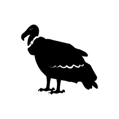 vector illustration of a vulture black and white | Vulture silhouette svg mascot