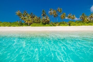 Beautiful beach background. Tropical nature exotic sandy shore coast. Tranquil paradise landscape,...