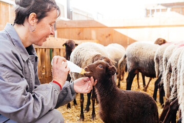 Crop of woman feeding lamb with milk bottle in barn