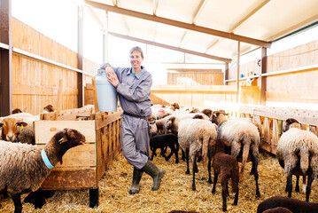 Smiling adult woman with flock of sheep in barn