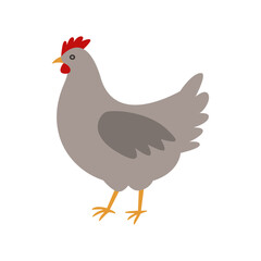 Brown chicken, vector illustration of hen.