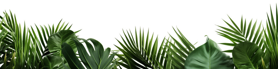 Tropical green leaf frame on white background. © Prompt2image
