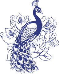 Peacock with flowers line art