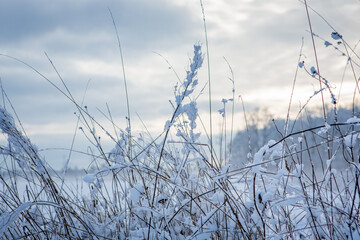 Winter landscape in Hassleholm, Sweden