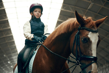Portrait of little girl, child in helmet sitting on brown horse, training, practicing horseback...