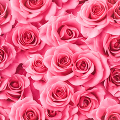 pink rose flower background - soft focus and vintage effect picture style