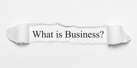 What is Business?	