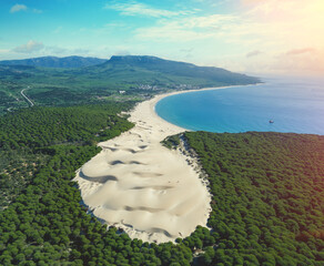 View from above of seascape with sandy Dune and pine forest. Playa Bolonia. Duna de Bolonia. Spain, Europe