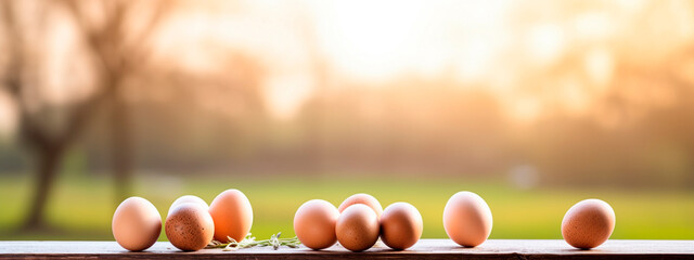 Homemade chicken eggs against the background of a field. Selective focus. - obrazy, fototapety, plakaty