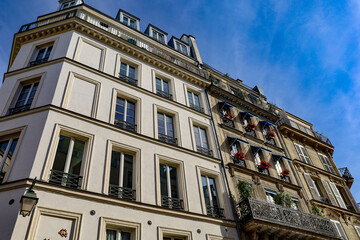 typical parisians building facade , haussmannian style  4th arrondissement