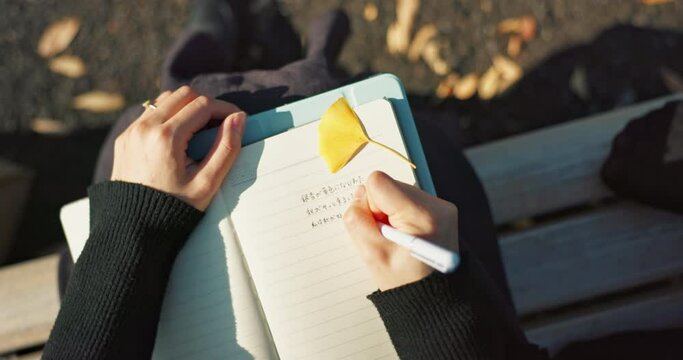Person, hands and writing in diary on park bench for reminder, agenda or memory in nature above. Top view and closeup of writer or journalist taking notes in book or notebook with pen for planning