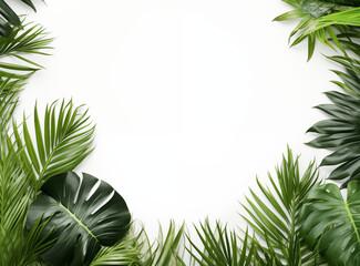 Creative layout made of green tropical leaves on white background. Minimal summer exotic concept with copy space,white background