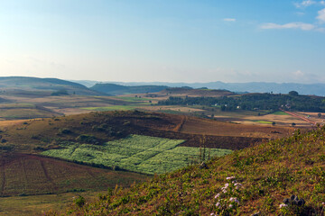 Naklejka premium view of countryside