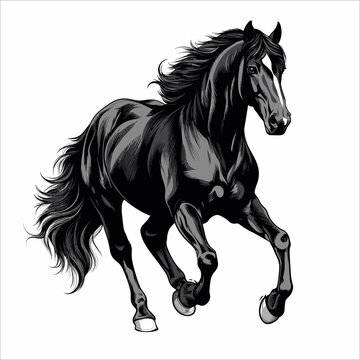 vector Beautiful black horse running on white background