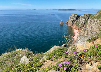 The beautiful Southeastern coast of the island of Shkota in August in sunny weather. Russia, Vladivostok city