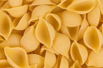 conchiglie pasta shell