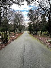 Fototapeta na wymiar Path in a cemetery,