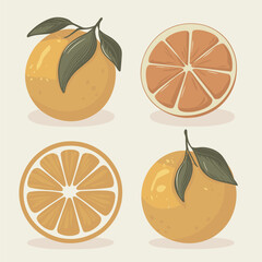 set of orange and slices