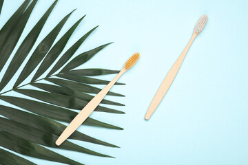 Eco wooden toothbrushes with green palm leaf on blue background. Zero waste, no plastic. Creative layout