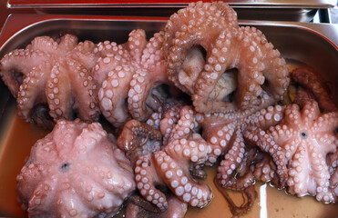Top view of octopus for sale at fish market
