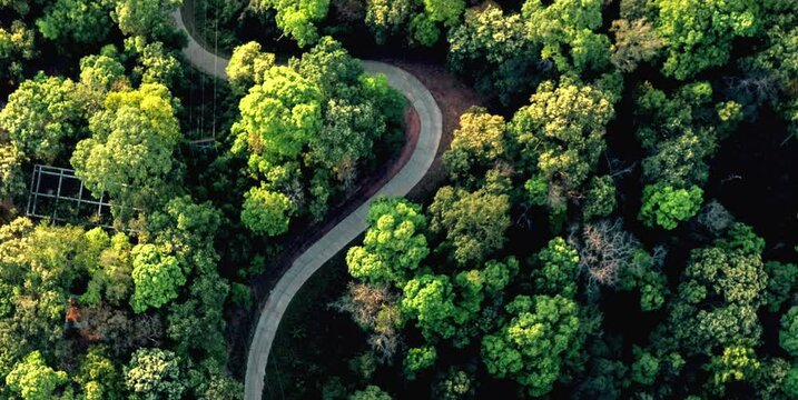 aerial video of dense forests in mountainous areas with views of winding roads crossing the mountains