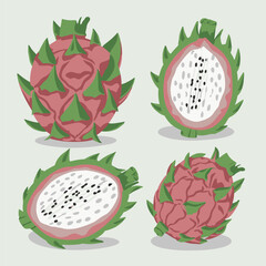 set of Dragon fruit vector