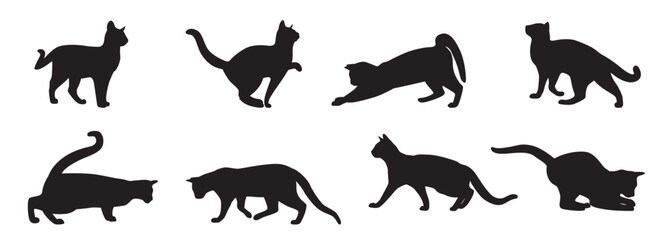 Cat silhouette collection. Set of black cat silhouette. Kitten silhouette collection. Cat silhouette set vector illustration - obrazy, fototapety, plakaty