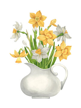 Bouquet of yellow and white daffodils in a vintage porcelain milk jug. Delicate Easter watercolor floral illustration on white background