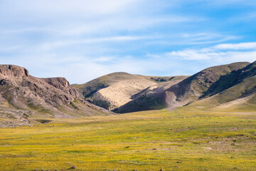 Fototapeta premium Steppe in Kazakhstan. Almaty, Central Asia. Landscape in the Ili River Valley.