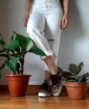 La vida con plantas 