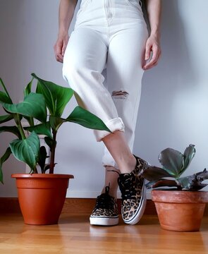 La vida con plantas 