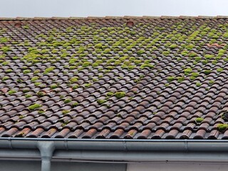 Bemooste rote Dachziegel auf einem Dach