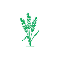 vector illustration of rice tree