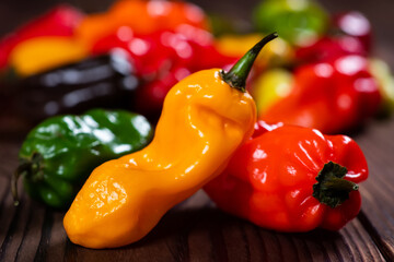 a colorful mix of the freshest and hottest chili peppers