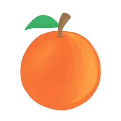 Illustration of an Orange