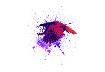 a raven with watercolor splashes