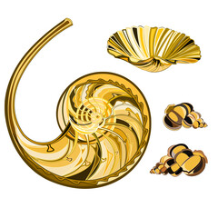 Collection gold colour marine life  seashells white background    vector illustration editable hand draw