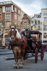 Naklejka na ściany i meble A walk through Amsterdam City