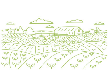 Landscape field panorama. Young shoot. Farm barn. Vector line. Editable outline stroke.