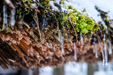 Icicles on the reed roof of an old wooden house. Spring, thaw.