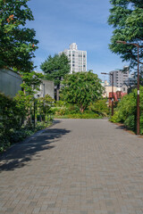 東京赤坂にある東京ミッドタウンの夏風景