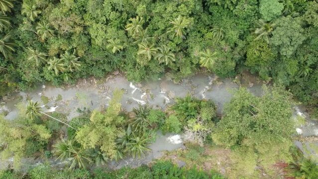 Aerial view of Cambugahay Falls in Philippines. Full HD