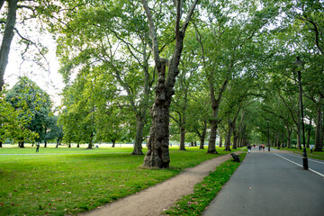 Fototapeta na wymiar Hyde Park With People Exercising And Playing In The Centre Of The City Of London, United Kingdom