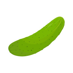Cucumber isolated on a white background. Delicious ripe cucumber whole and slices. Flat style, cartoon design